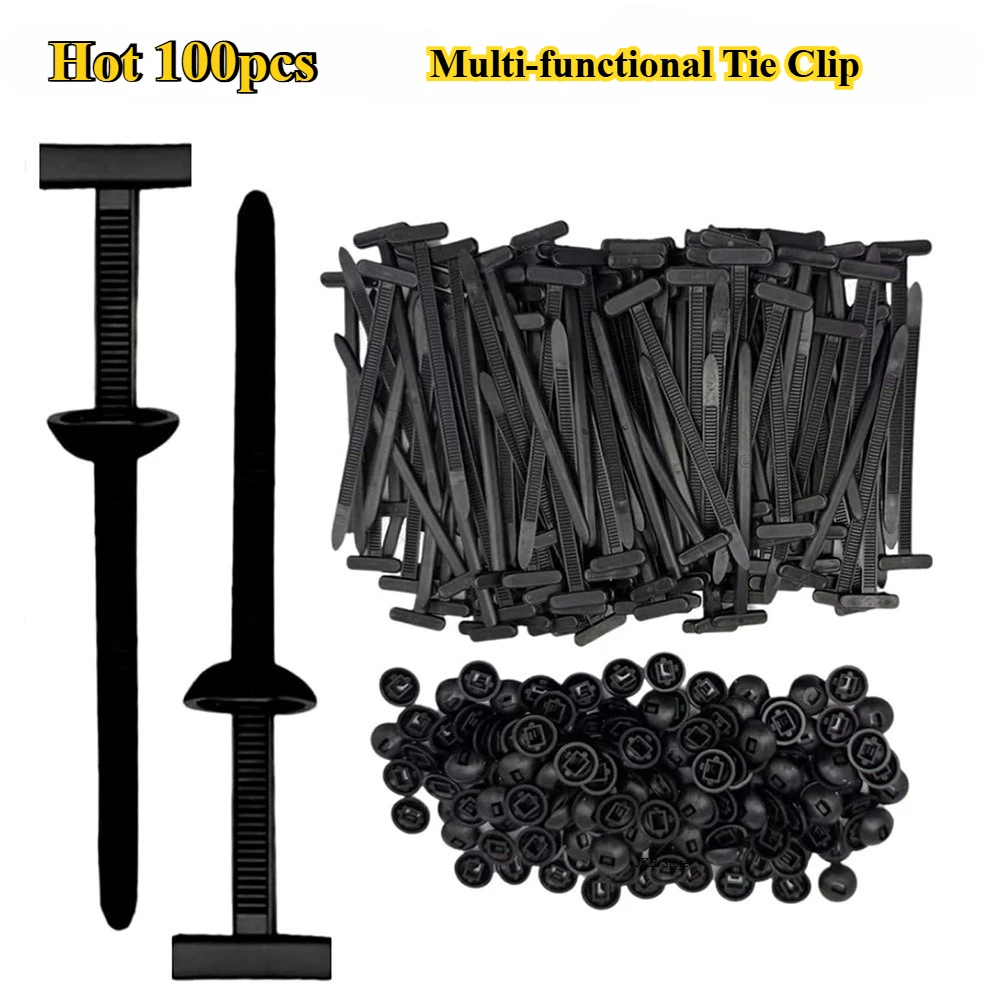 yZ[zP[u^C jo[TiCobN z wr[f[eBWbp[^Cz_[ (sƃ{^fUCt) c[I[KiCU[