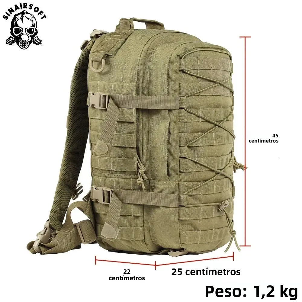 Parche bordado palabras académico – Colección insignia militar cotton - imagen 5