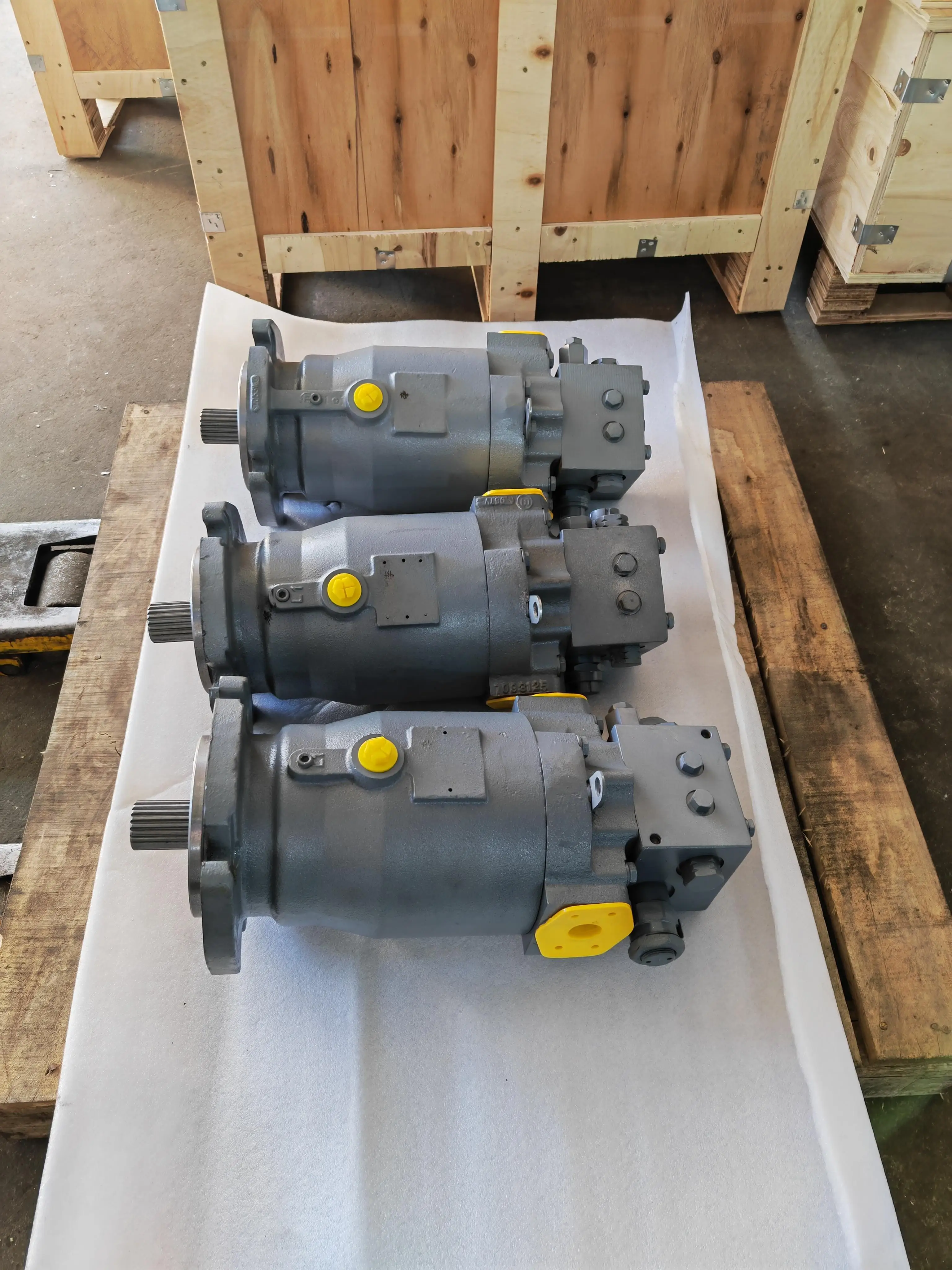 PV10 PV15 PV20 PV29 Serie PV202R1EC00 Pompa idraulica a pistoni ad alta pressione PV22-650