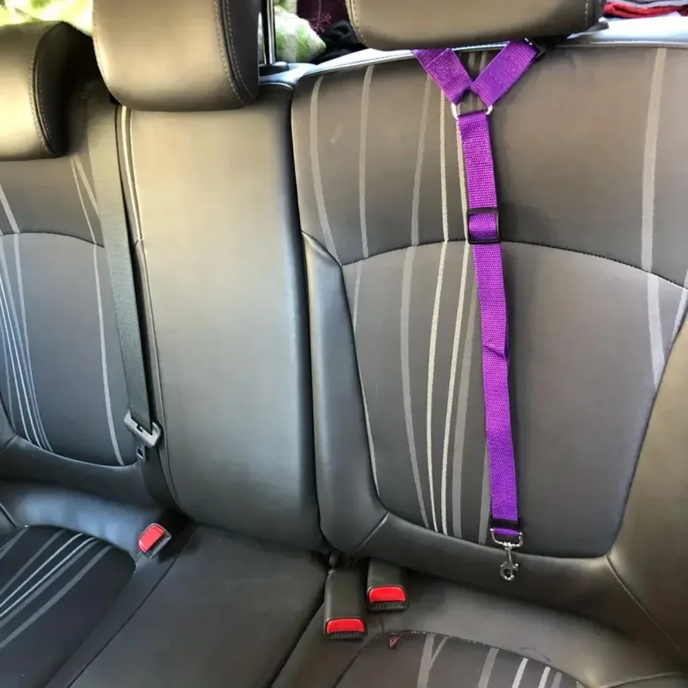 Cinturón de seguridad para perros y gatos, reposacabezas de coche, cuerda de seguridad ajustable, accesorios para perros pequeños, 1 unidad