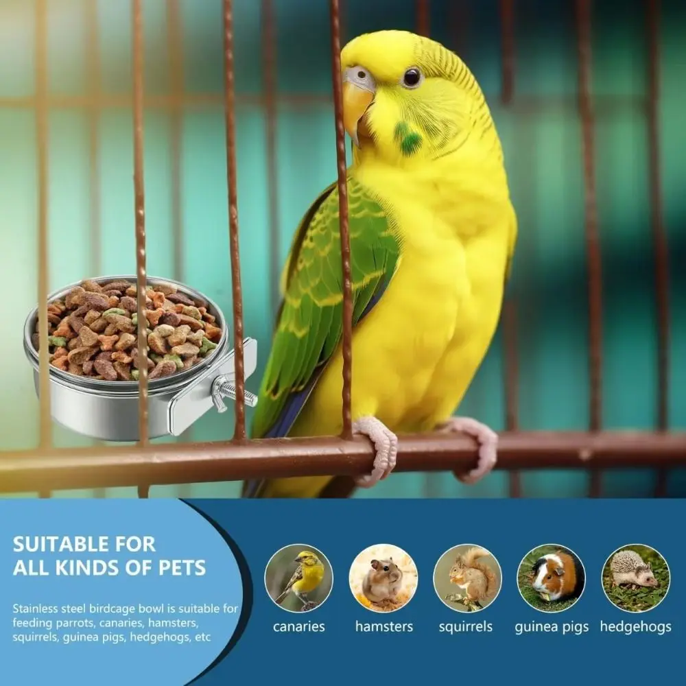 Thumbnail 3 - #74 Stainless Steel Pet Bowls Comparison Guide