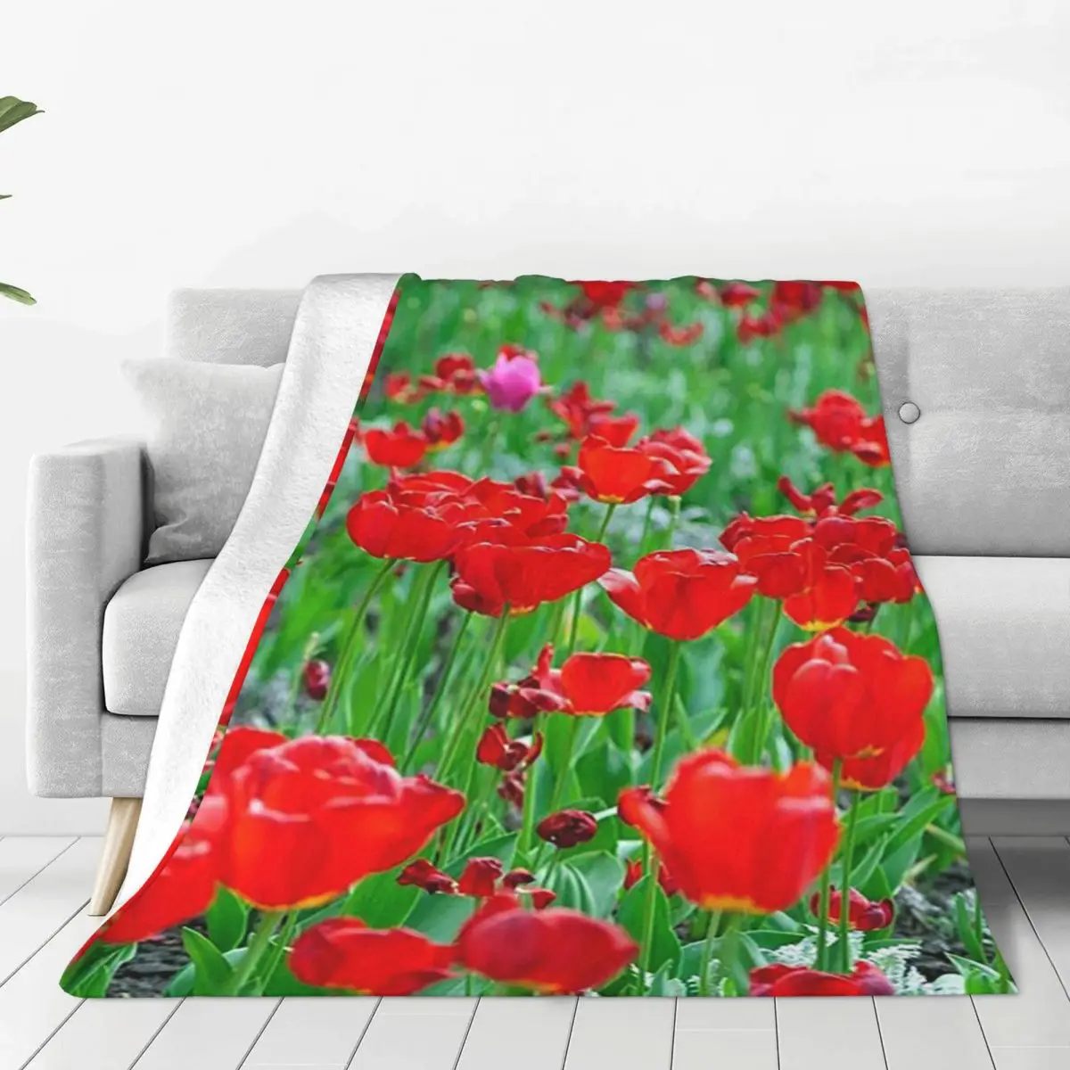 Tulips In Ukraine Blankets Flannel Super Soft Sofa Throw Blankets For Home Bedroom Travel Throws Bedspread Quilt