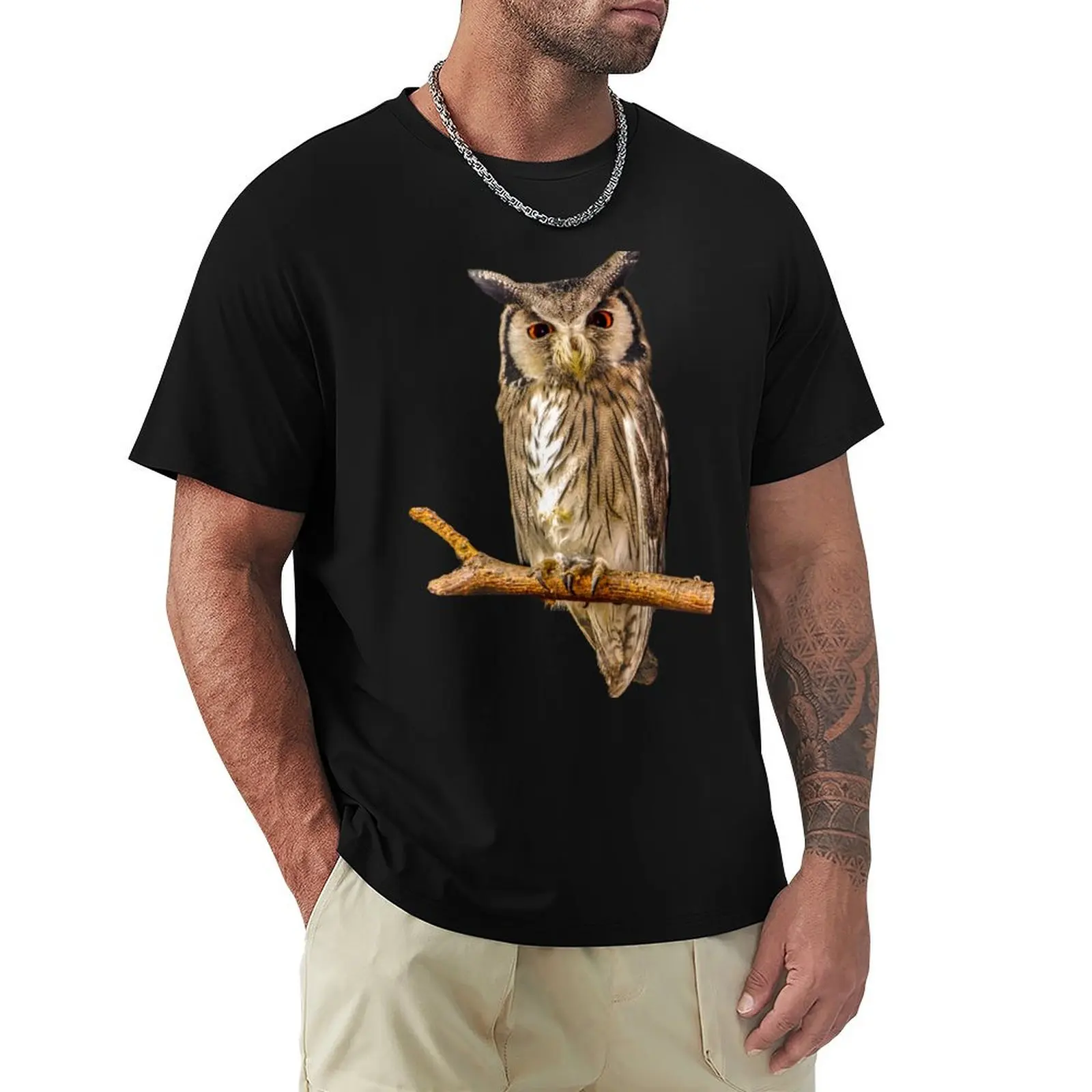 Southern white-faced scops owl T-Shirt Daily Wear Print T-Shirt