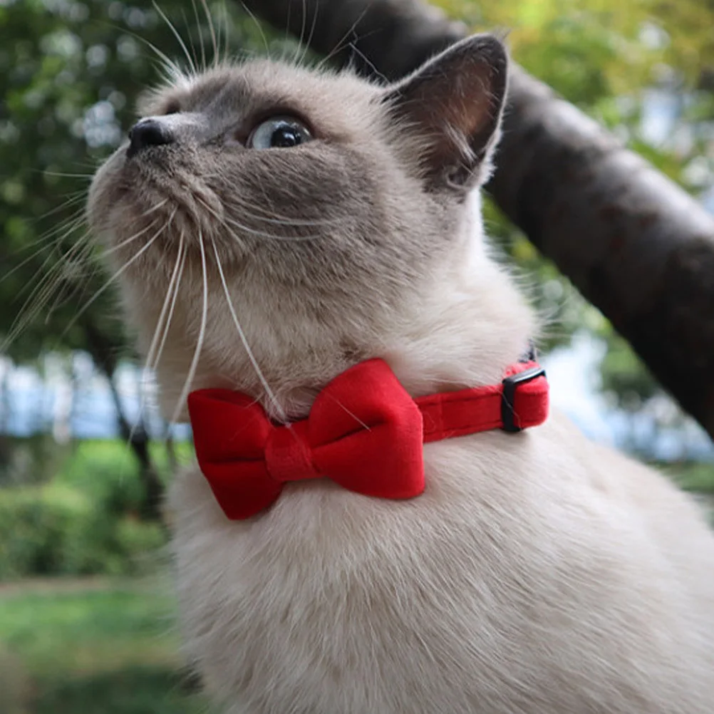 

3 Pcs Bow Decorative Pet Collar Cat Necklace Collars with Bells Comfortable