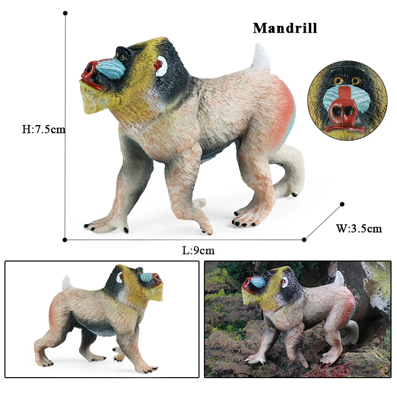 動物オブジェクト Oenux-動物の形をしたアクションフィギュア,野生の動物