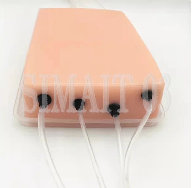 Ultrasonic PICC Phantom with Triangular Prism Guide | Ultrasound Teaching Model for Vascular Access Training