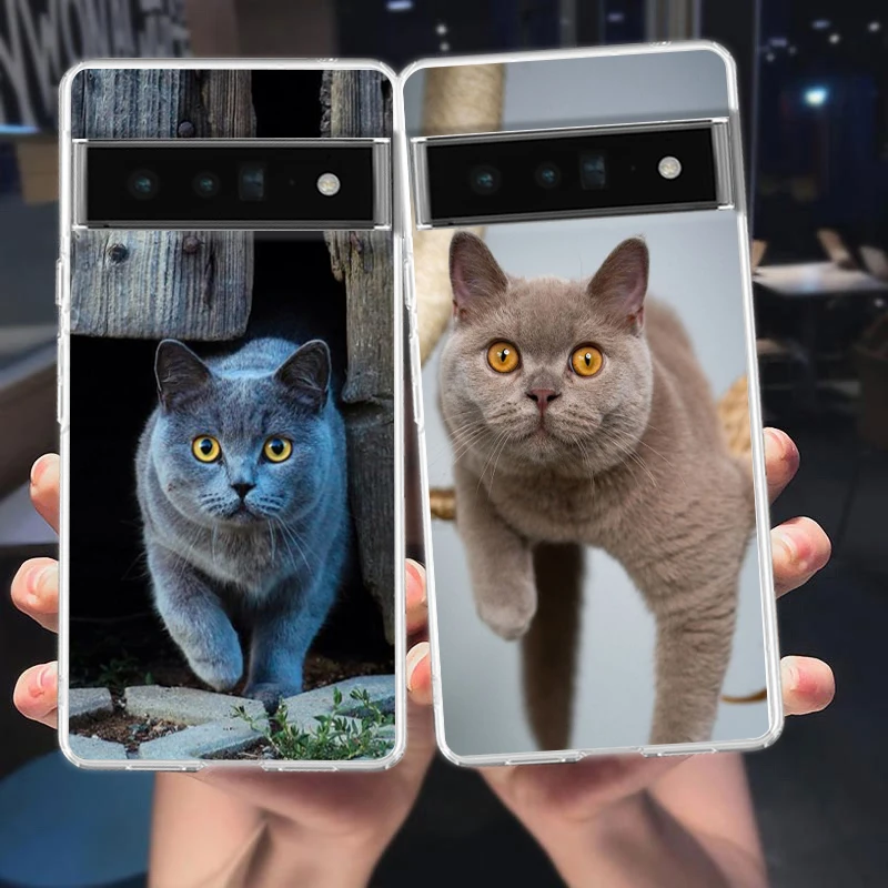 British shorthair cat For Google Pixel 8 7 6 Pro 6A 5 4 5A 4A 3A XL 5G Phone Case Shockproof Soft TPU Transparent Cover Fundas