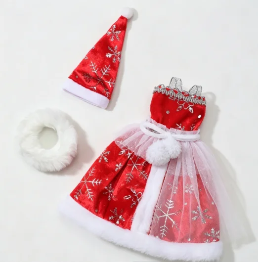 New style Toy accessories gift pretty clothes for your BB FR 1/6 scale dolls BBIKD21P