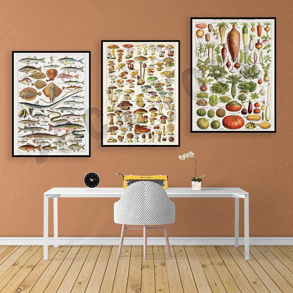 Adolphe Millot's French Vintage Poster Fish, Mushrooms, Vegetables, Kitchen Poster, Mushroom Map, Kitchen Decor Canvas Poster