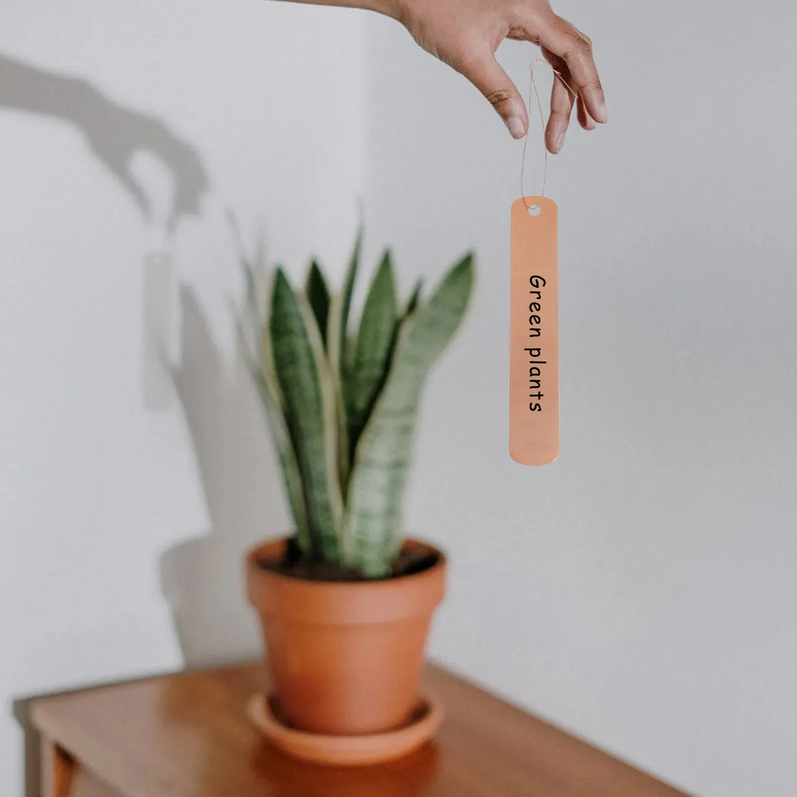 

30 комплектов медных садовых этикеток для растений, водонепроницаемые подвесные бирки для цветов, овощей, горшков, кашпо, балконов, садоводства