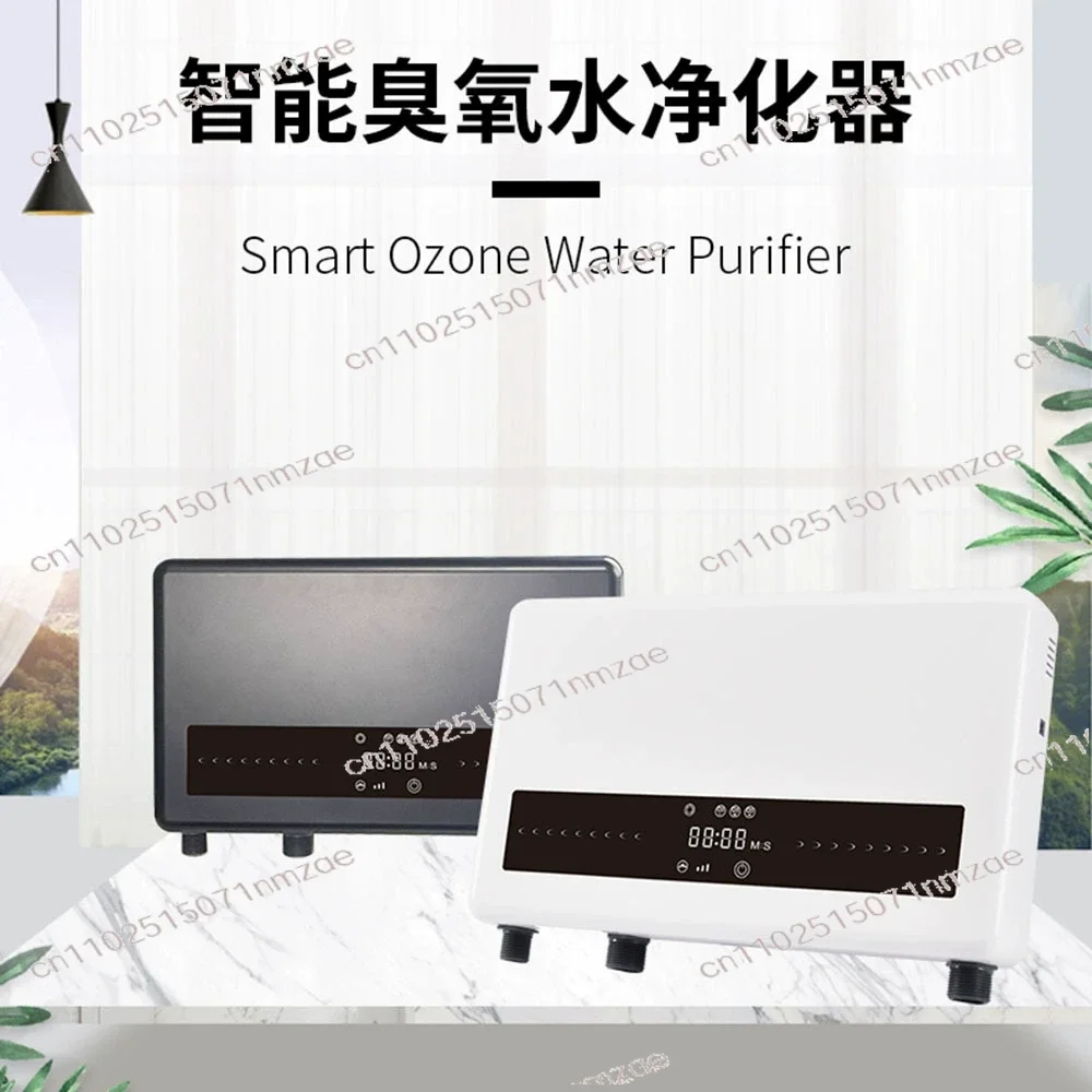 Automatically On Off Water Ozonator System washing machine ozone generator