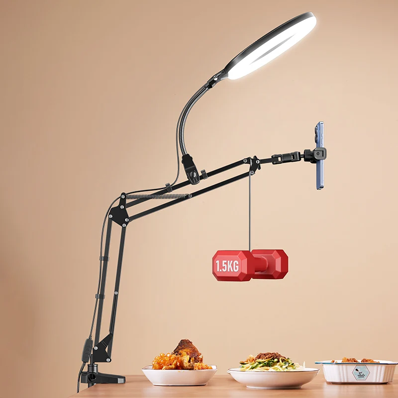 F1A 10 Inch Live Broadcast Photography Fill Light 26cm Led Live Beauty Circular Selfie Ring Light With Holder Stand