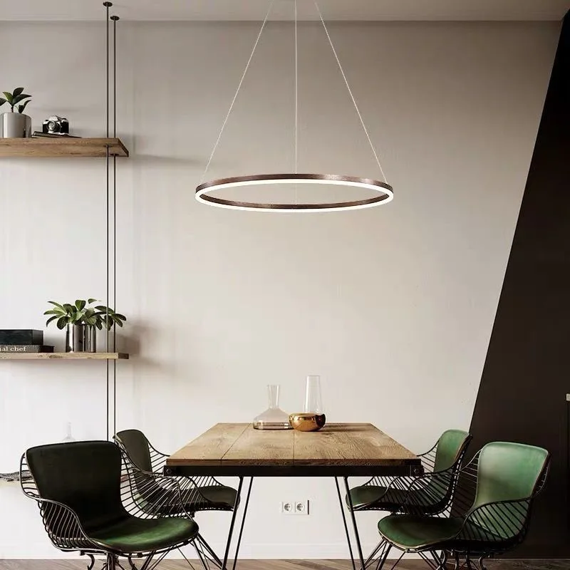 

Plafonnier LED Suspendu au Design Nordique Minimaliste, Anneau Unique, Éclairage Circulaire à Intensité Réglable, Luminaire Déco