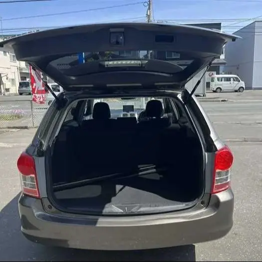 

Auto Struts With Springs For Toyota Corolla Fielder (E140) Estate 2006-2013 Tailgate Trunk Boot Lift Supports Shock Damper Rod