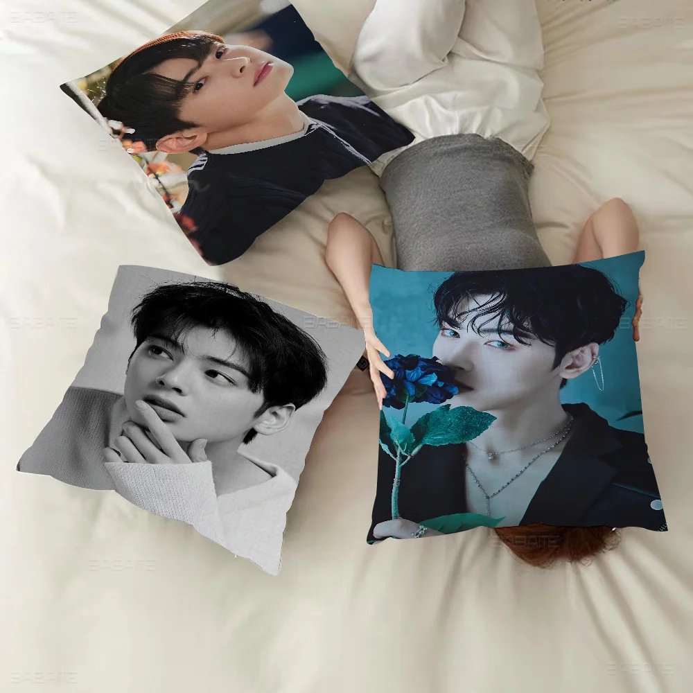 

Korea Cha Eun Woo Personalized Picture Text Home Decorative Pillows Household Gifts 45x45cm