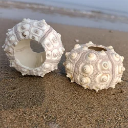 Real Purple Sputnik Sea Urchin Shells for Craft and Decor Jellyfish Air Plant Nautical Décor Coastal Beach Crafts Sea Decoration