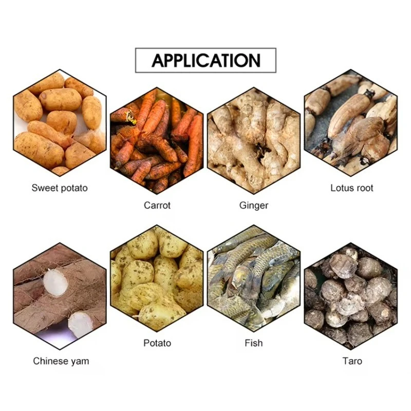 Customized Multifunctional Automatic Root Vegetable Cleaning Peeling Machine For Potato Carrot Ginger Cassava