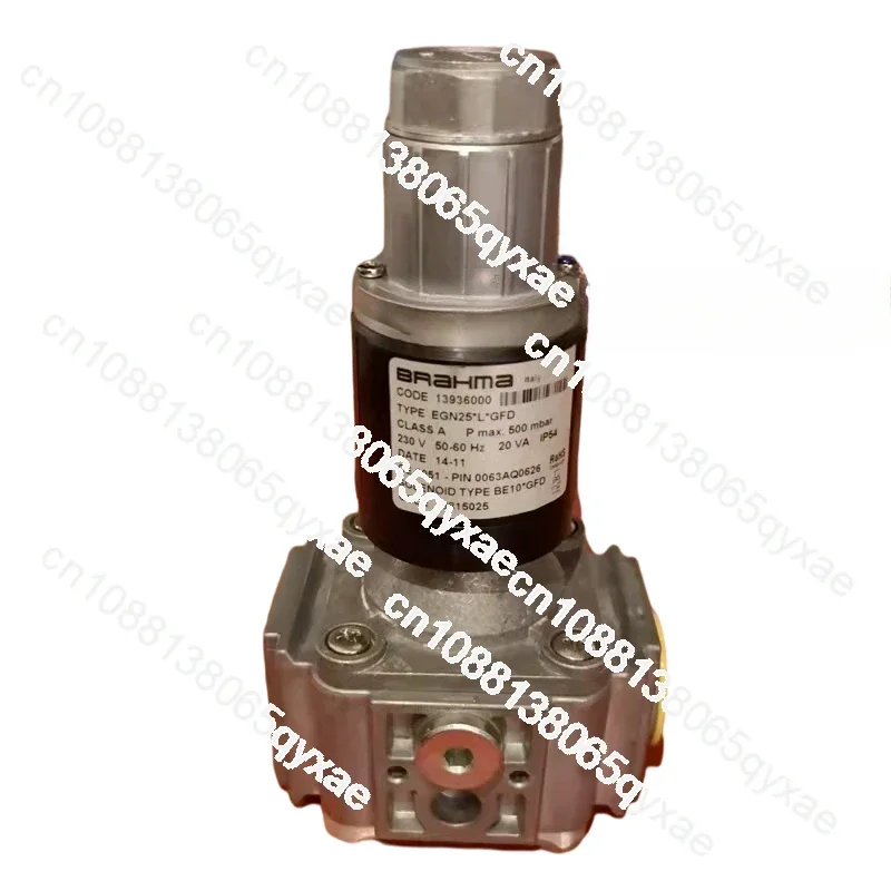 BRAHMA Valve Group Burner Solenoid Valve EG12LGFDEG15LGMQ Panama Natural Gas Control Valve