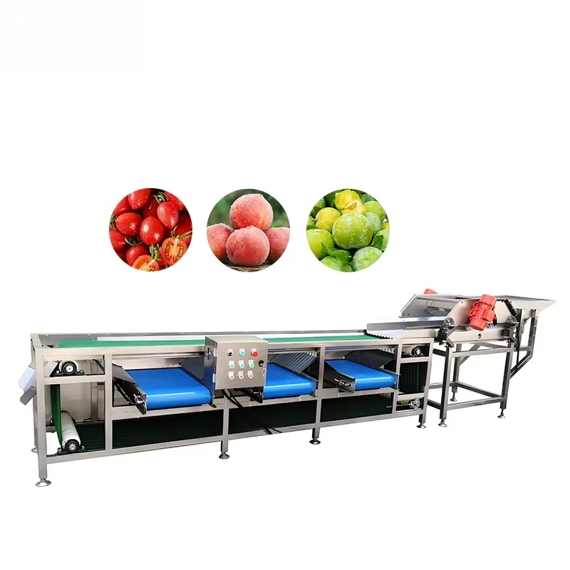 Hot Sale Factory Carrot Length Grading Machine Fruit and Vegetable Sorting Machine