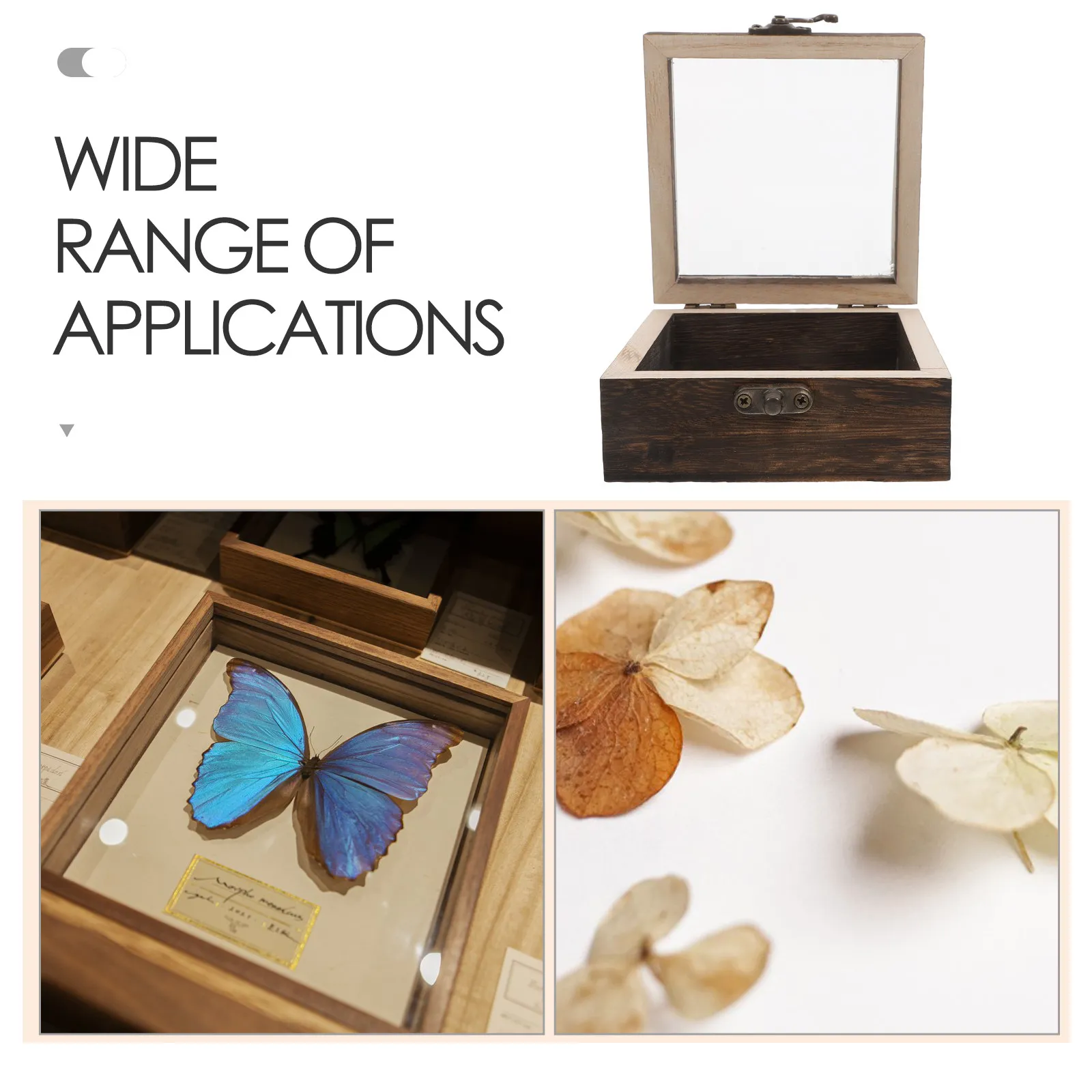 Wooden Insect Specimen Box Flip Top Lid Dried Flower Display Case Butterfly Collection Small Travel Display Case