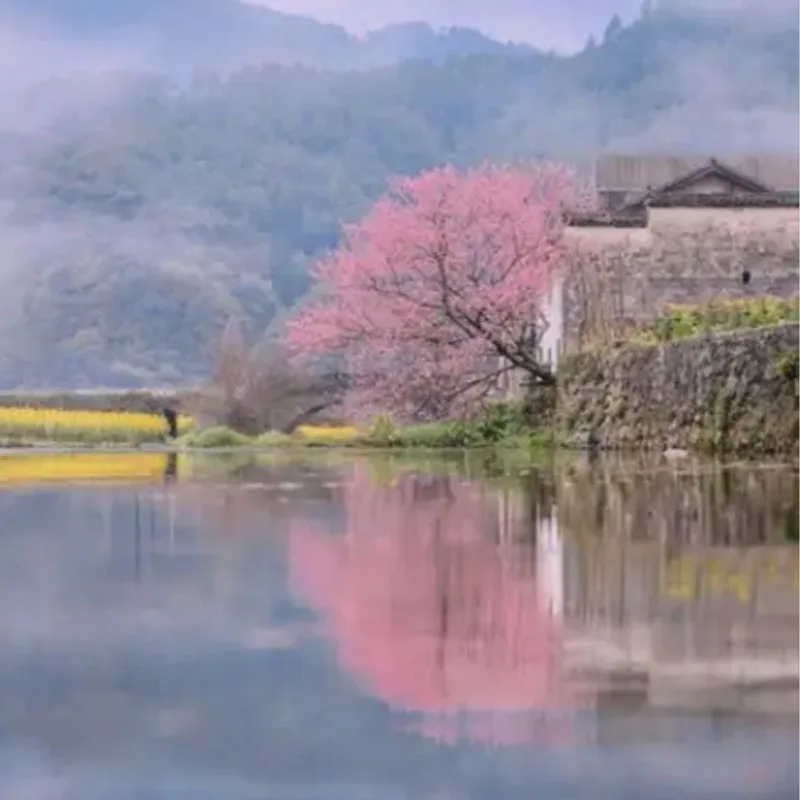 

Beizheng Bz-121 251 181GPS Module Dual Protocol Fixed Wing Traverse FPV Drone F4 F7H7 Flight Control Parts