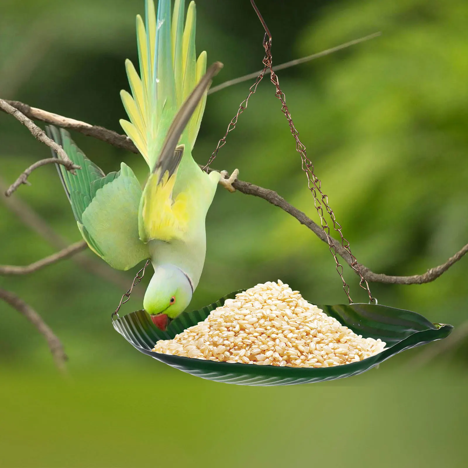 

Banana Leaf Hanging Feeder Bird Feeders for Outdoors Seed Iron Feeding Tray Food Plate
