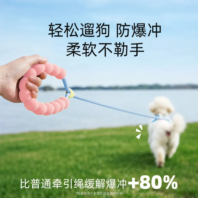 Dog leash, small dog pet, chest and back leash, puppy dog walking leash out