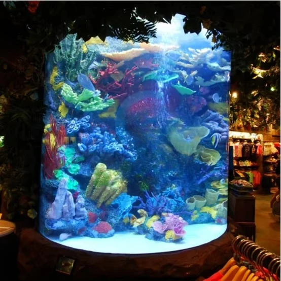 Large acrylic aquarium transparent full moon shape custom acrylic fish tank