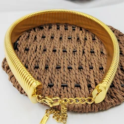 Punk Elastic Snake Bone Choke Circle Women's Fashion New Gothic Hip Hop Stainless Steel Chain Collar Necklace Party Gift Jewelry