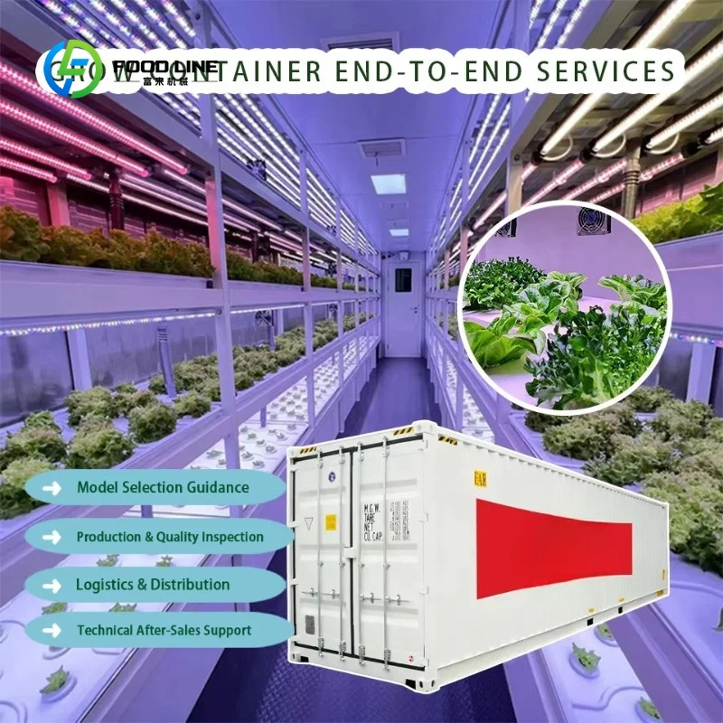 Customized Large 20/40Ft Weathering Steel Frame Intelligent Mushroom Growing Chamber System with Temperature Control