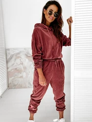 Velour Two Piece Sets Women Tracksuit Velvet Pant Sets Woman  Solid Top and Pants Suit Fashion Streewear Conjuntos De Mujer 2021