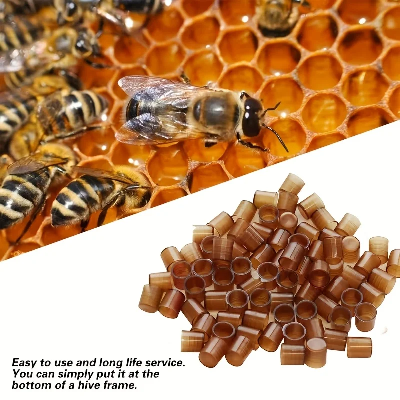 699Pcs Plastic Queen Bee Rearing Cups Reusable Beekeeping Supplies