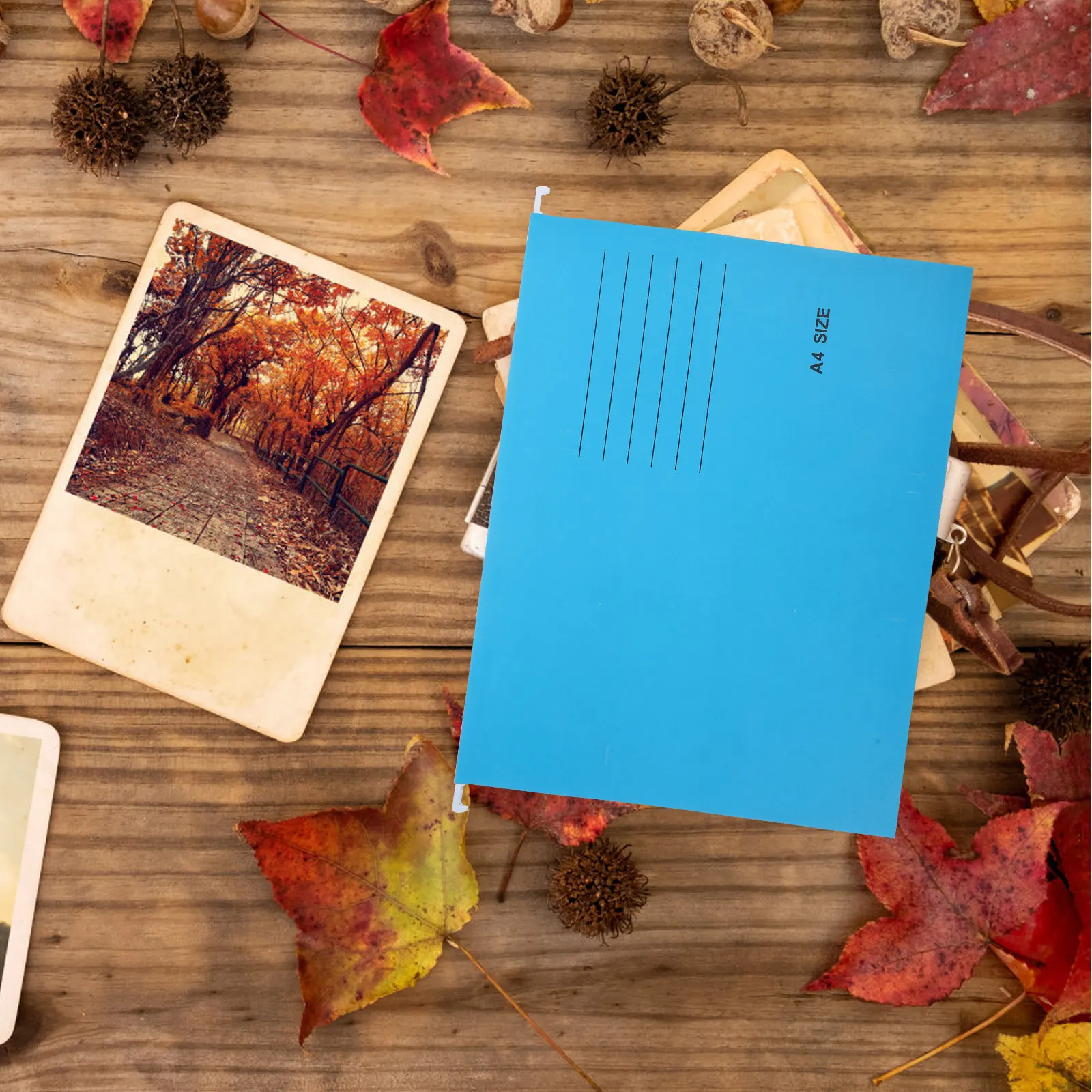 

Набор из 6 многофункциональных подвесных папок формата А4 с железными крючками для хранения документов, для офисных шкафов и организации счетов