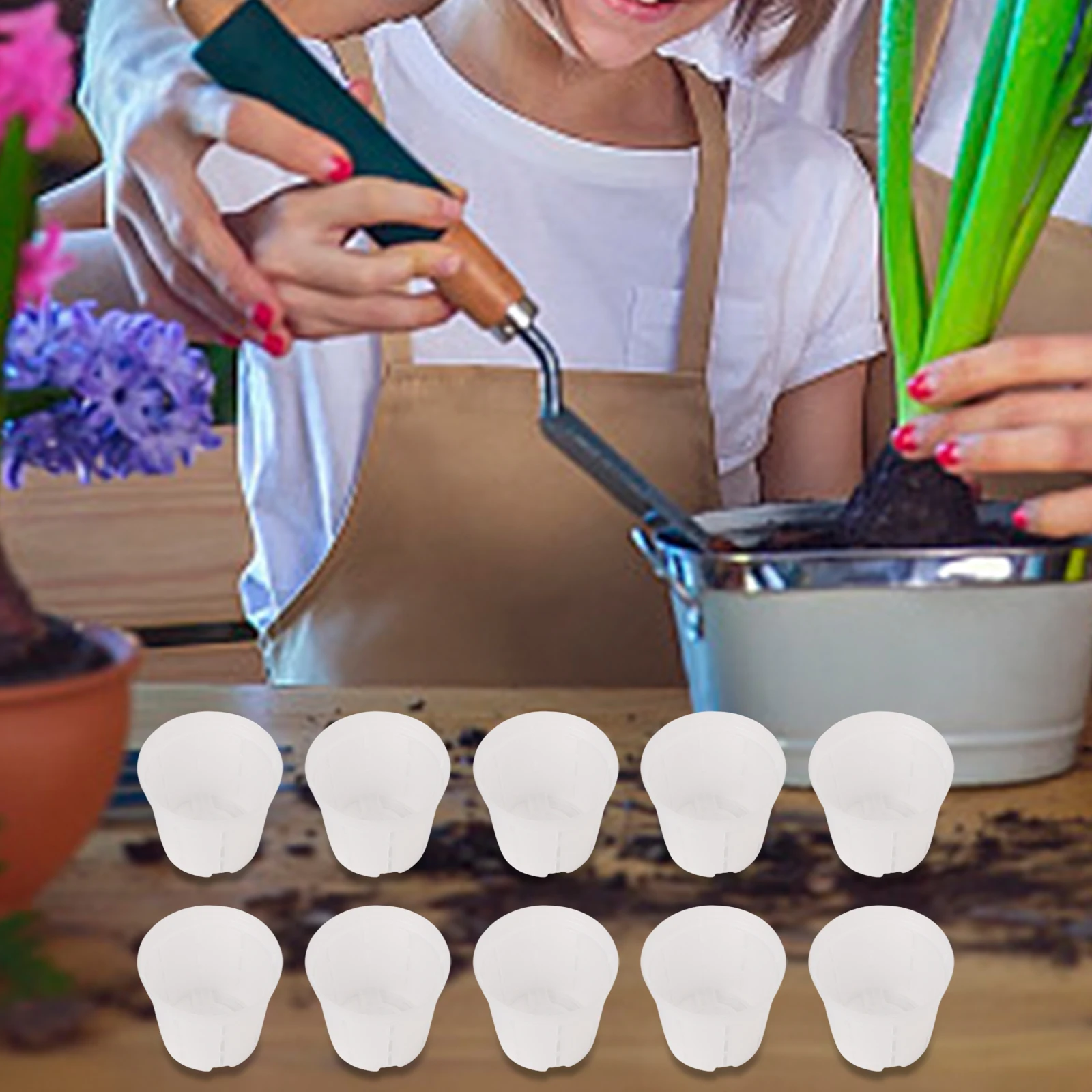 Breathable Plastic Pot Root Control Pot Sturdy PP Resin Versatile For Orchids Set Of Clear Pots For Plant Monitoring