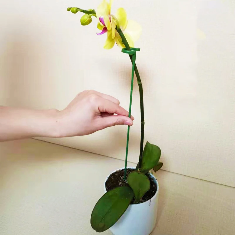 Succulent Phalaenopsis Special Flower Stand Support, Plant Potted Flower Shape Support Rod Fixed Anti-falling