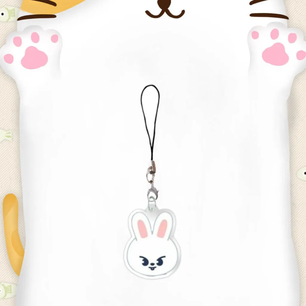 SKZOO figura de animal de dibujos animados llavero acrílico Stray Kids llavero de coche acrílico mochila funda de teléfono colgante regalos periféricos