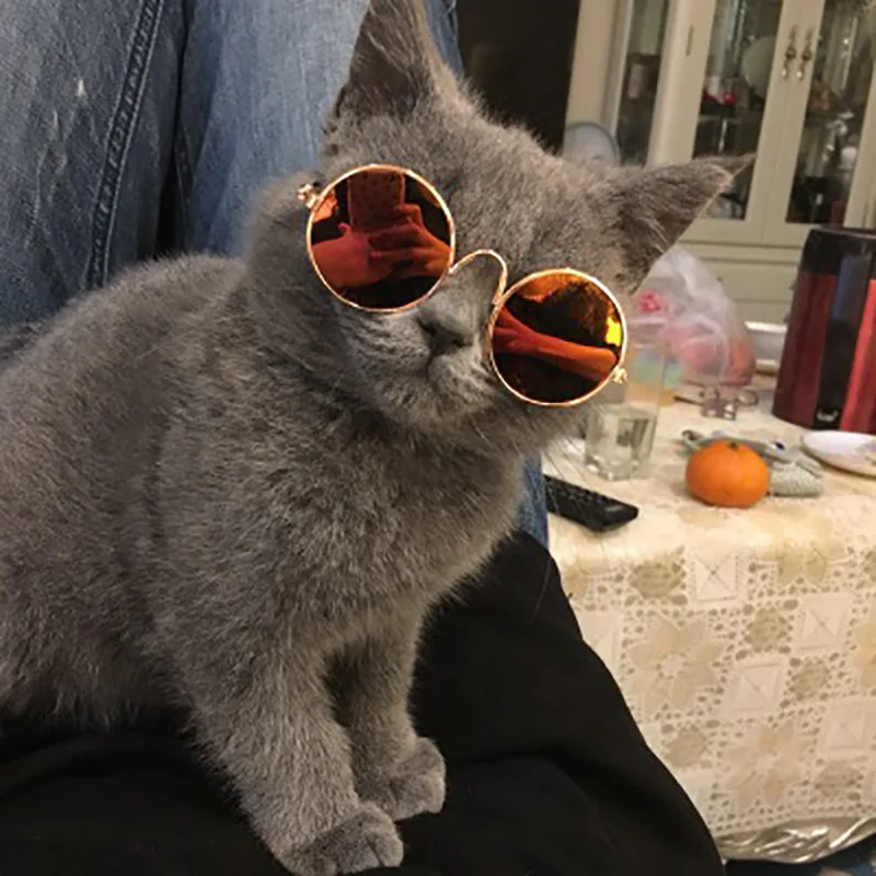 Cat Sunglasses Lovely Vintage Round Reflection Eye wear glasses For Small Dog Cat Pet Photos Pet Products Props Accessories