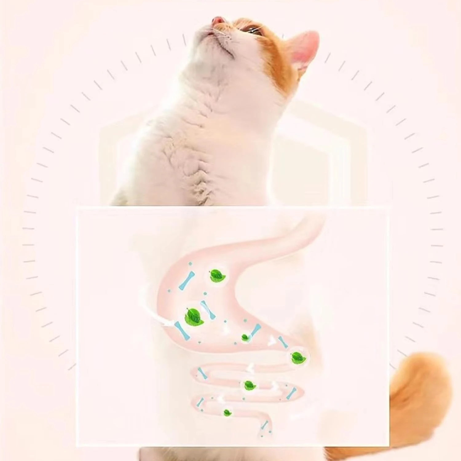 Engaging Catnip Ball Toy for Lively Playtime - Enticing Rotatable Spring Design Endless Entertainment Guaranteed Pet Happi