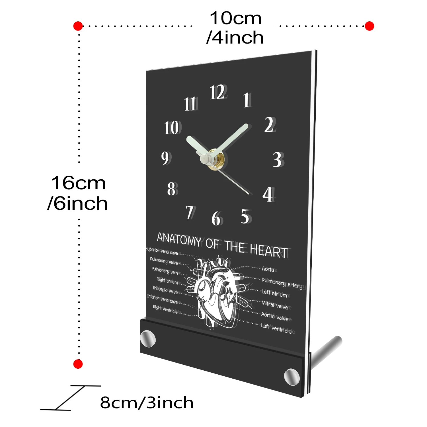 Anatomy Of The Heart Table Clock With LED Backlight Hospital Clinic Decor Heart Cardiac Structure Desk Clock For Office Room