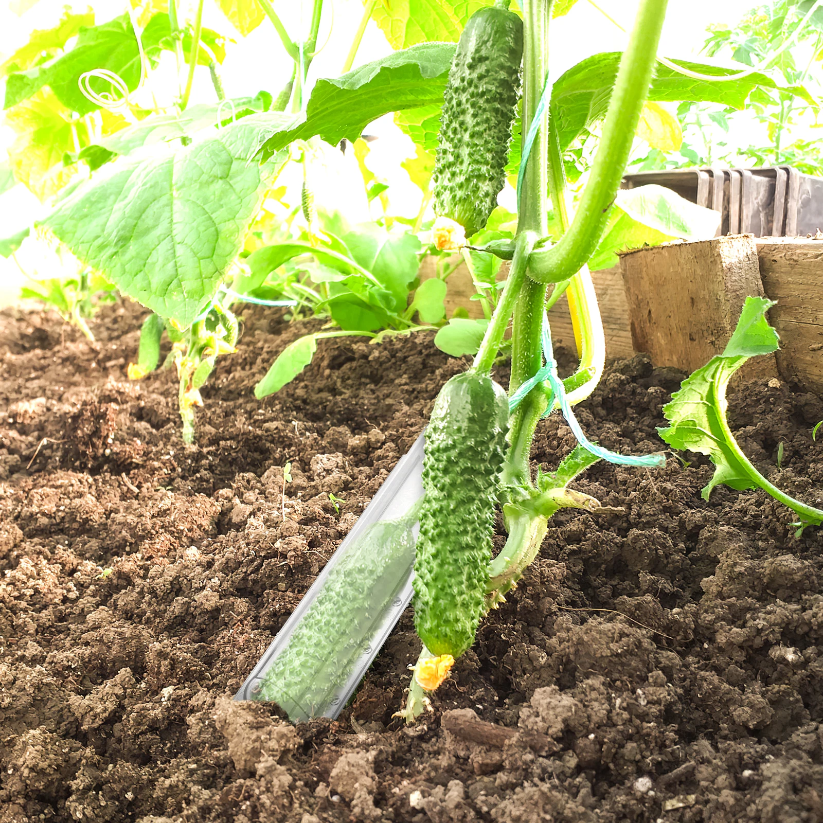 Moule à légumes, outils de mise en forme des fruits, pour la croissance des concombre, fournitures de plantation, accessoires de culture de jardin, 4 pièces