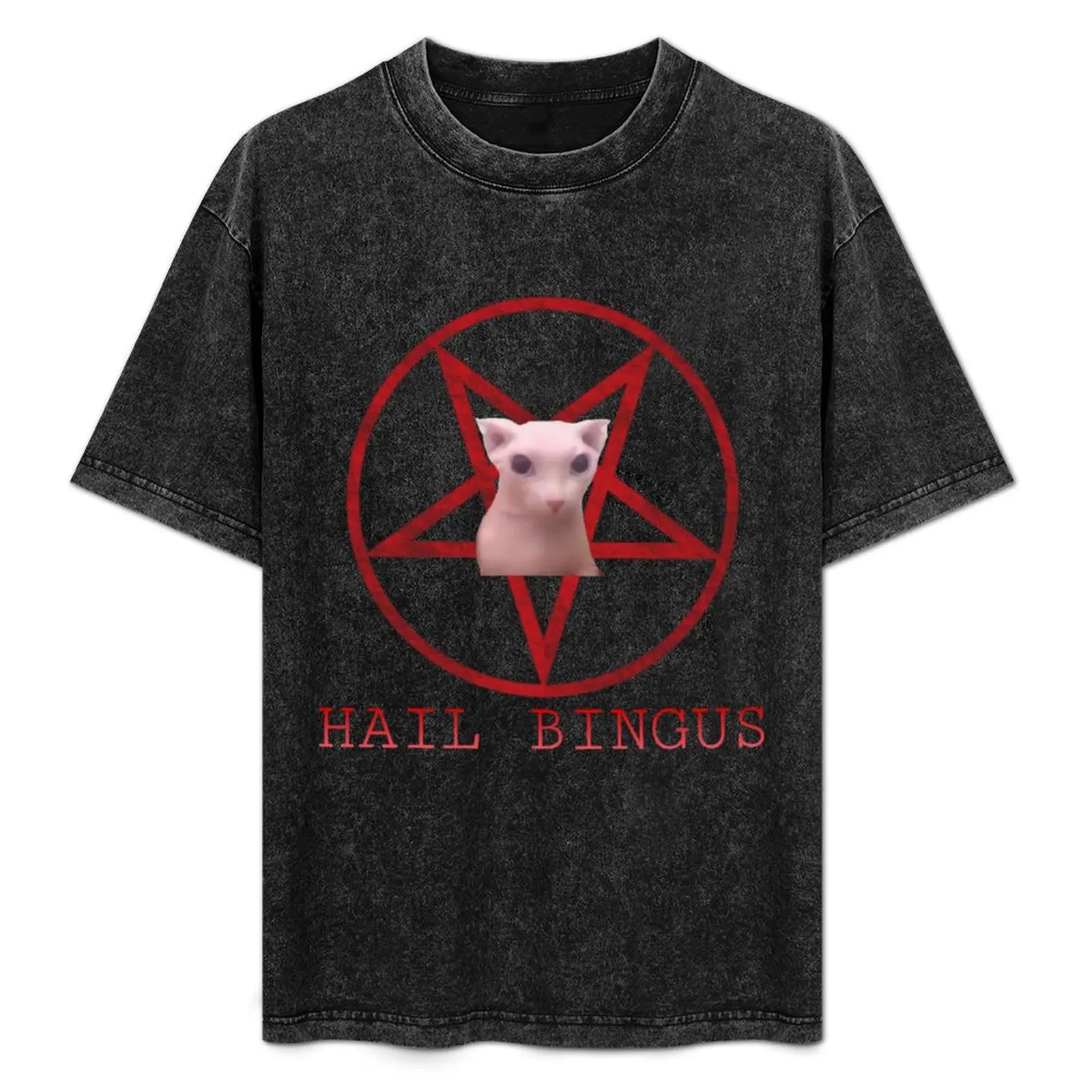 Hail Bingus T-Shirt Big and Tall Short Sleeve Tee