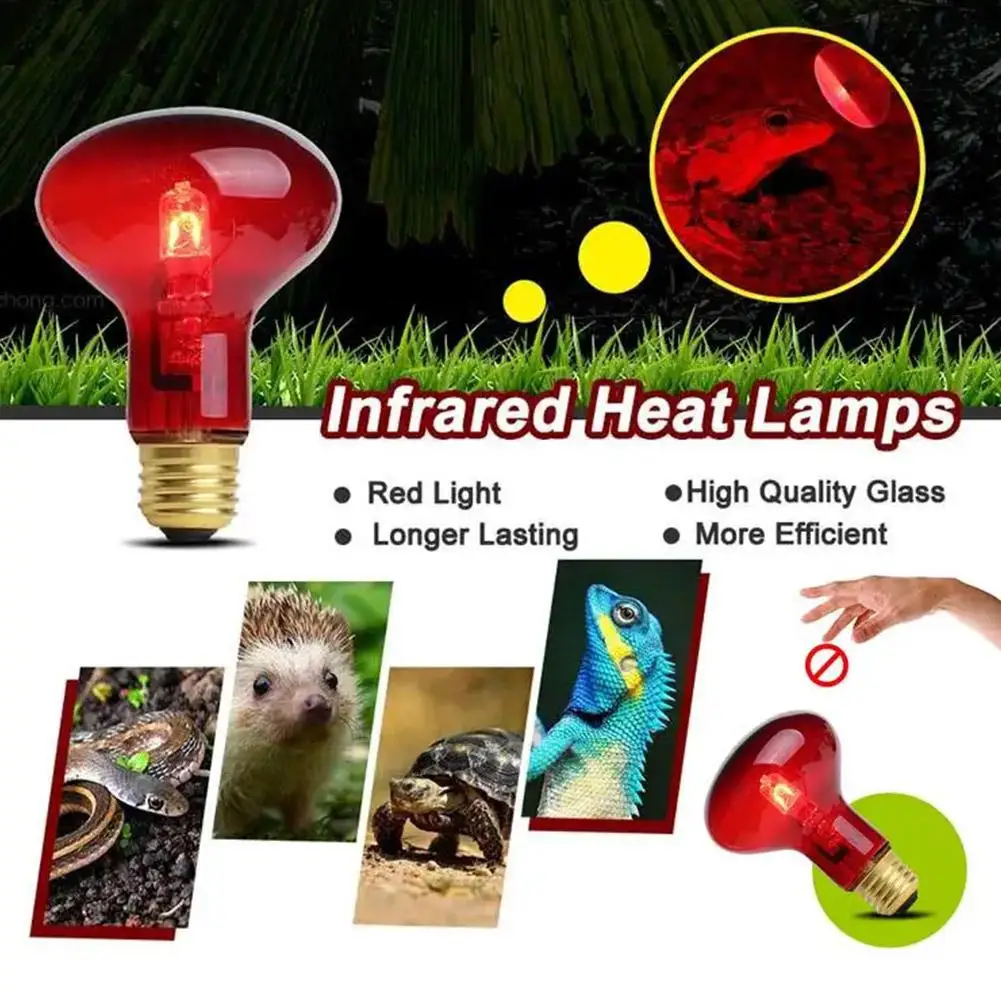 220-240V E27 Poultry Heating Bulb 100/75/60W Infrared Insulation Heating for Reptiles Plants Amphibians Pets Livestock