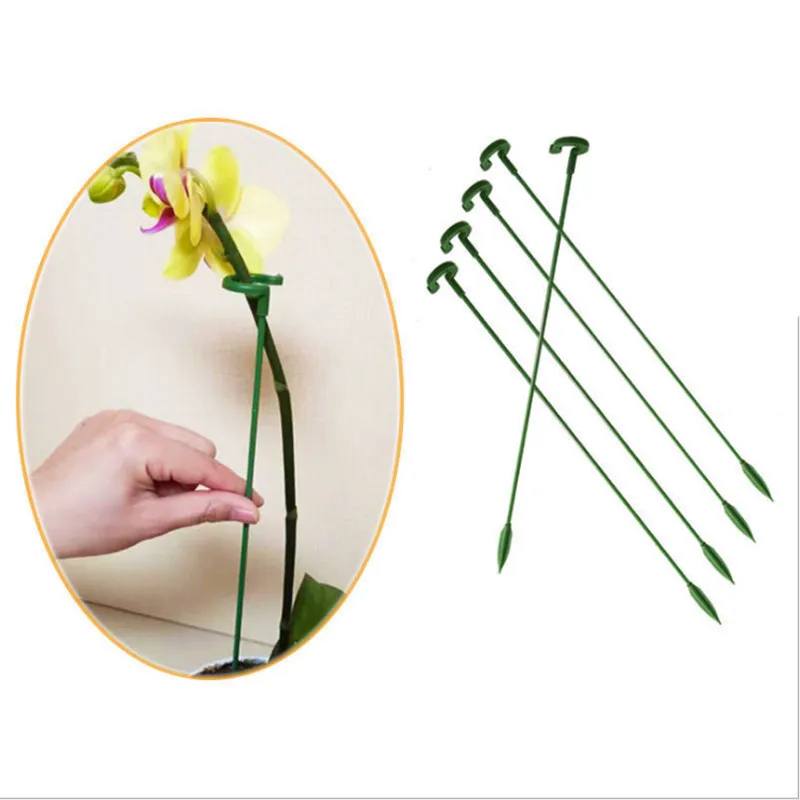 

Fixed Anti-lodging Special Bracket, Family Gardening Plants, Potted Plants, Flowers, Phalaenopsis Support Rod, Leaf Guard