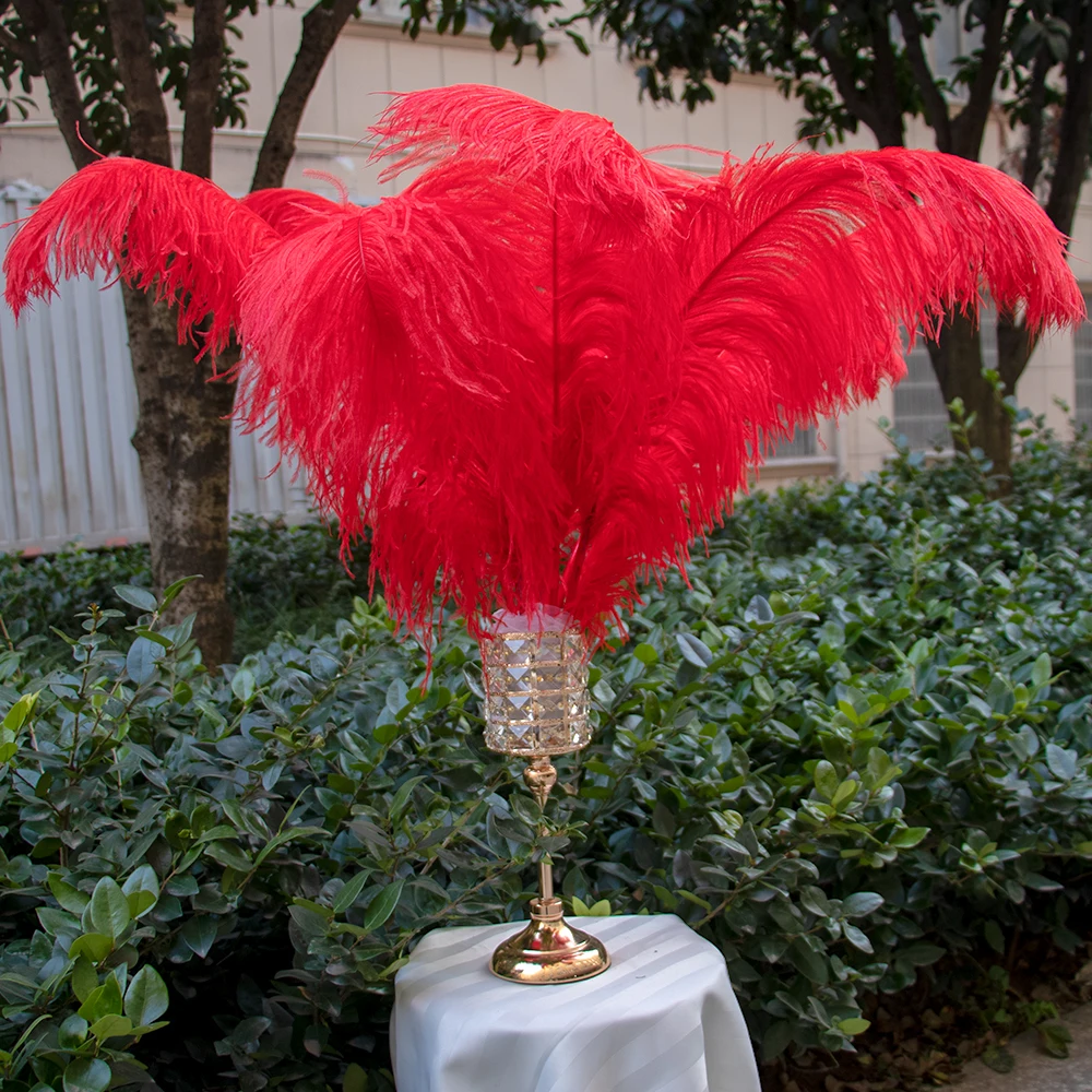 10 шт. натуральные красные длинные страусиные перья 15-75 см/6-30 дюймов красные свадебные центральные украшения для одежды, декор для одежды, сделай сам, ремесло, домашняя вечеринка