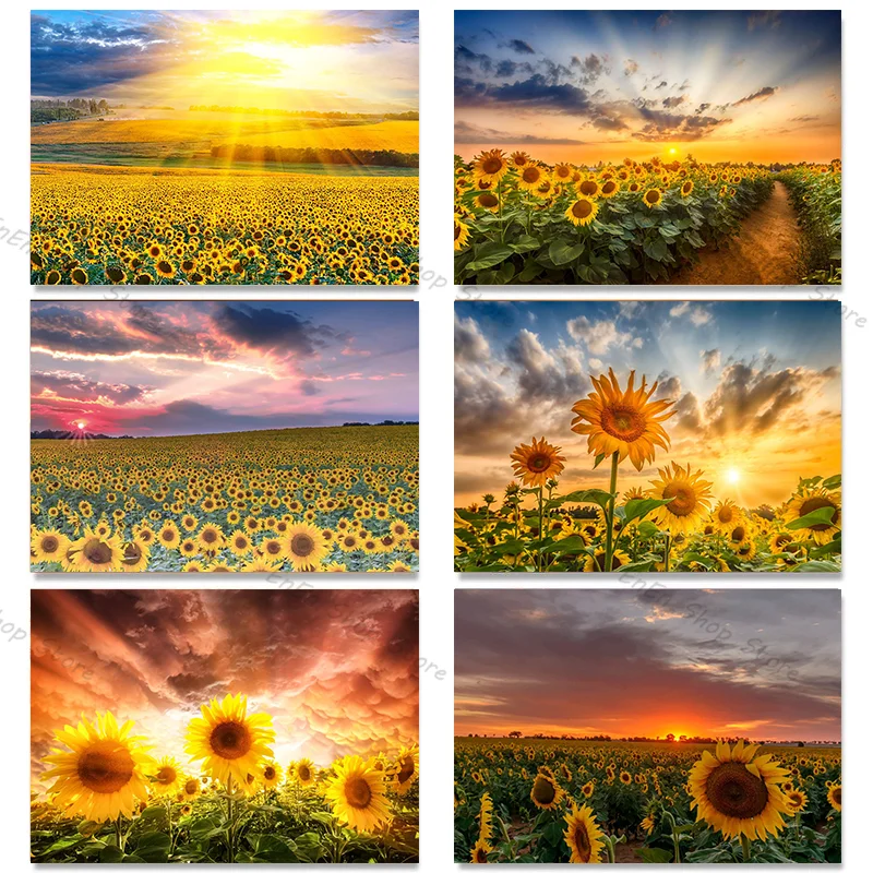 Sunflower Field At Sunset  Art Posters and HD Prints Home Wall Canvas Paintings for Living Room Aesthetics Decoration No Frame