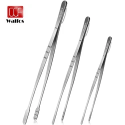 Walfos-Pinzas de acero inoxidable para cocinar, pinzas para asar, agarrar objetos pequeños, postre, barbacoa, espagueti, cocina, 1 pieza