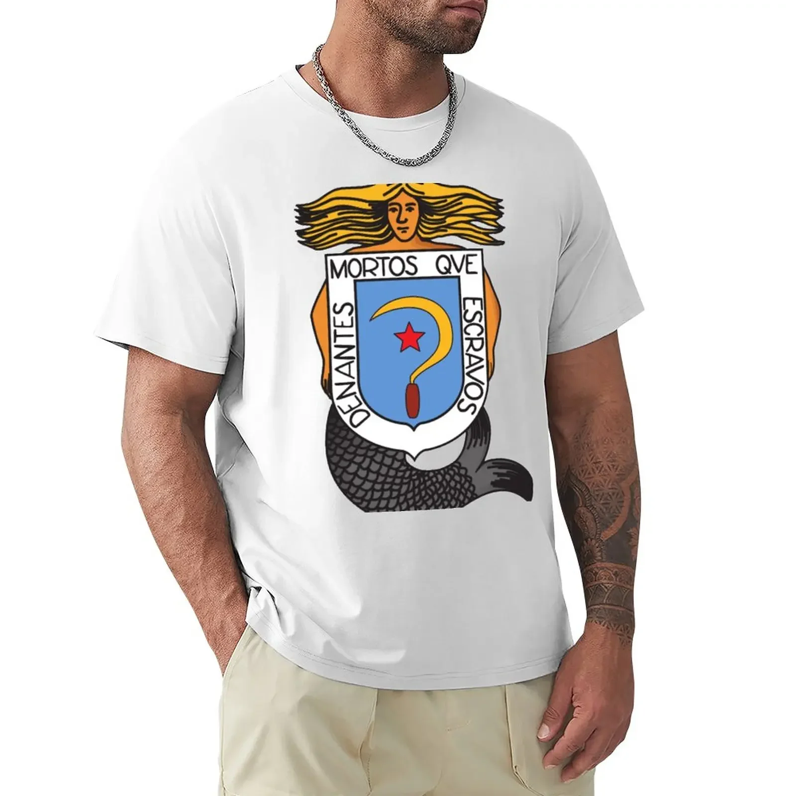 

shield of castelao T-Shirt customs design your own aesthetic clothes black t shirts for men