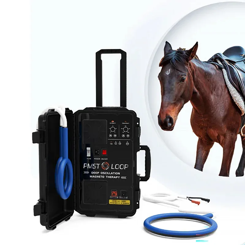 

Horses PEMF Pulse Electromagnetic Therapy PMST Machine with Single and Butterfly Loop for Animals Treatment máquina Pemf