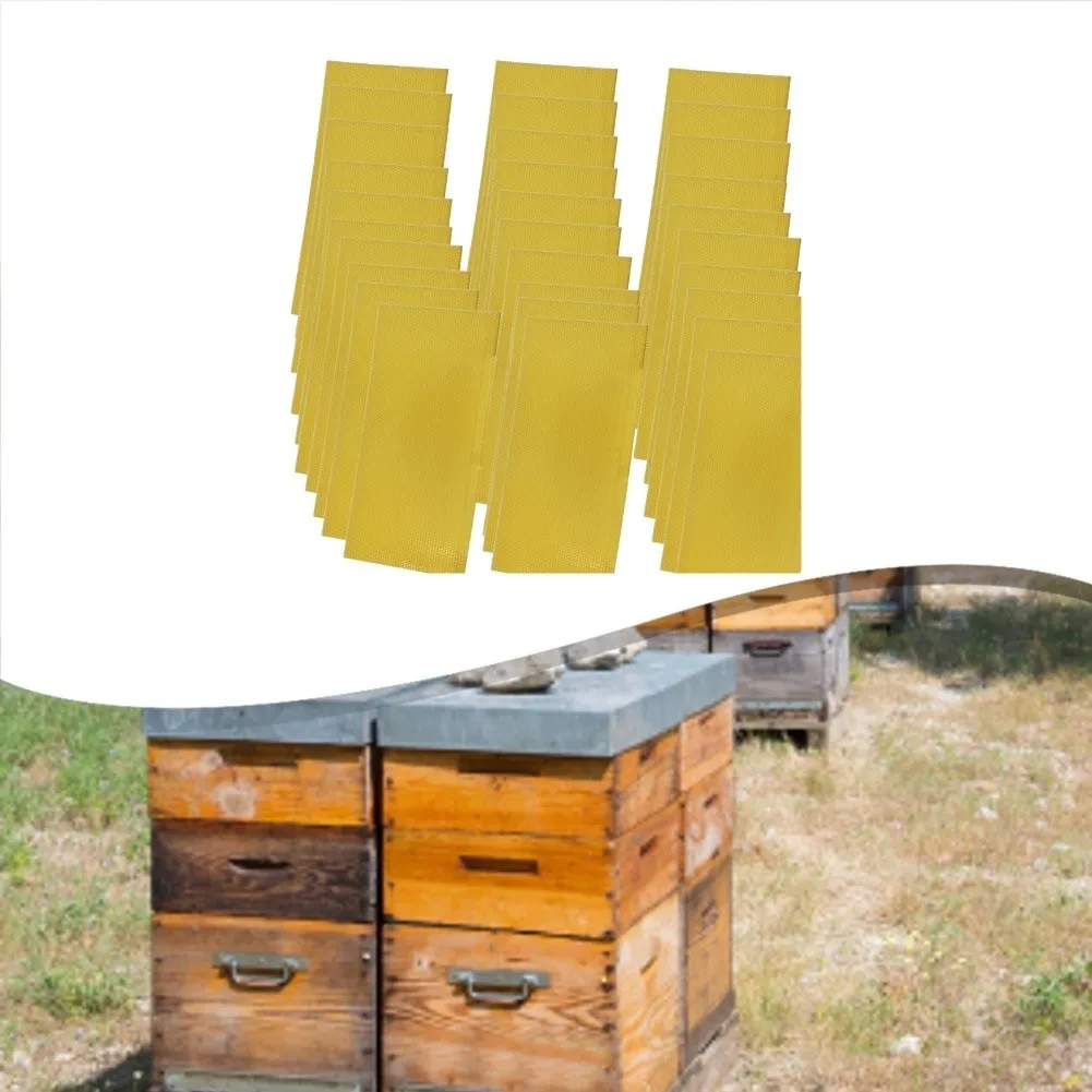 30 Pieces Beeswax For Honeycomb Sheets For Bee Foundation Accessories Simple Installation Garden Supplies