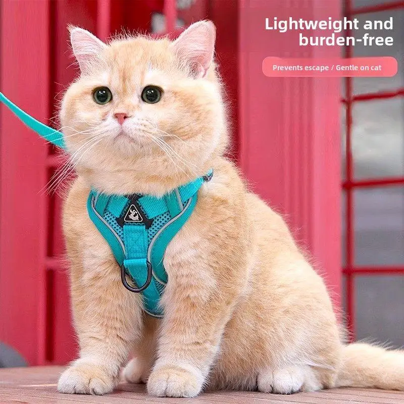 

Регулируемая защита от ломтиков для пикника, прогулочная веревка для домашних животных, арна для домашних животных, регулируемый быстрый инструмент, снаряжение для путешествий на открытом воздухе